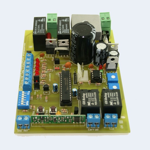C24 MOTOR CC 24 VOLTS